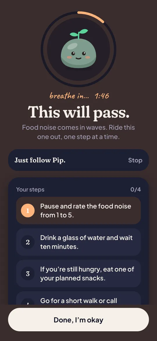 The loud-moment screen: Pip breathing inside a countdown ring above your steps.